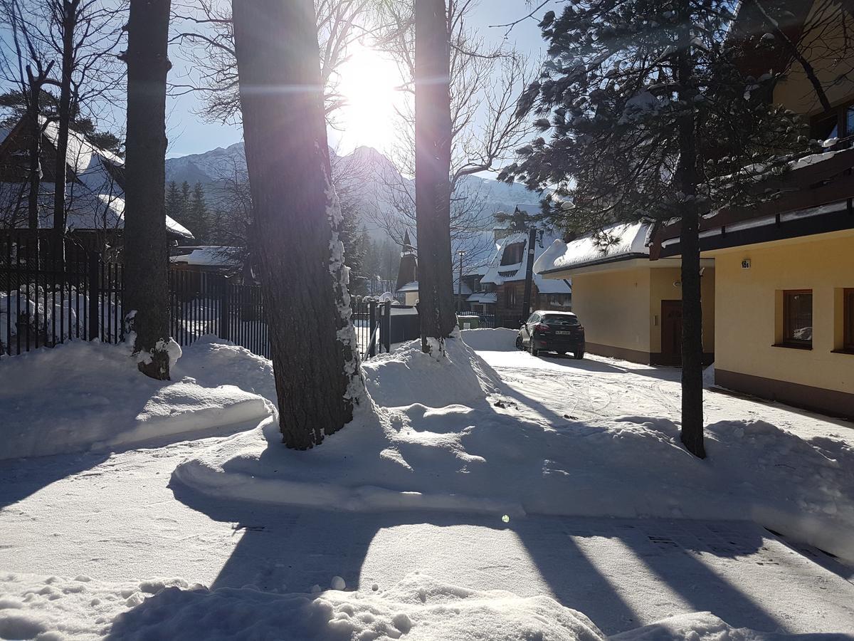 Willa Sunshine Zakopane Chalet エクステリア 写真